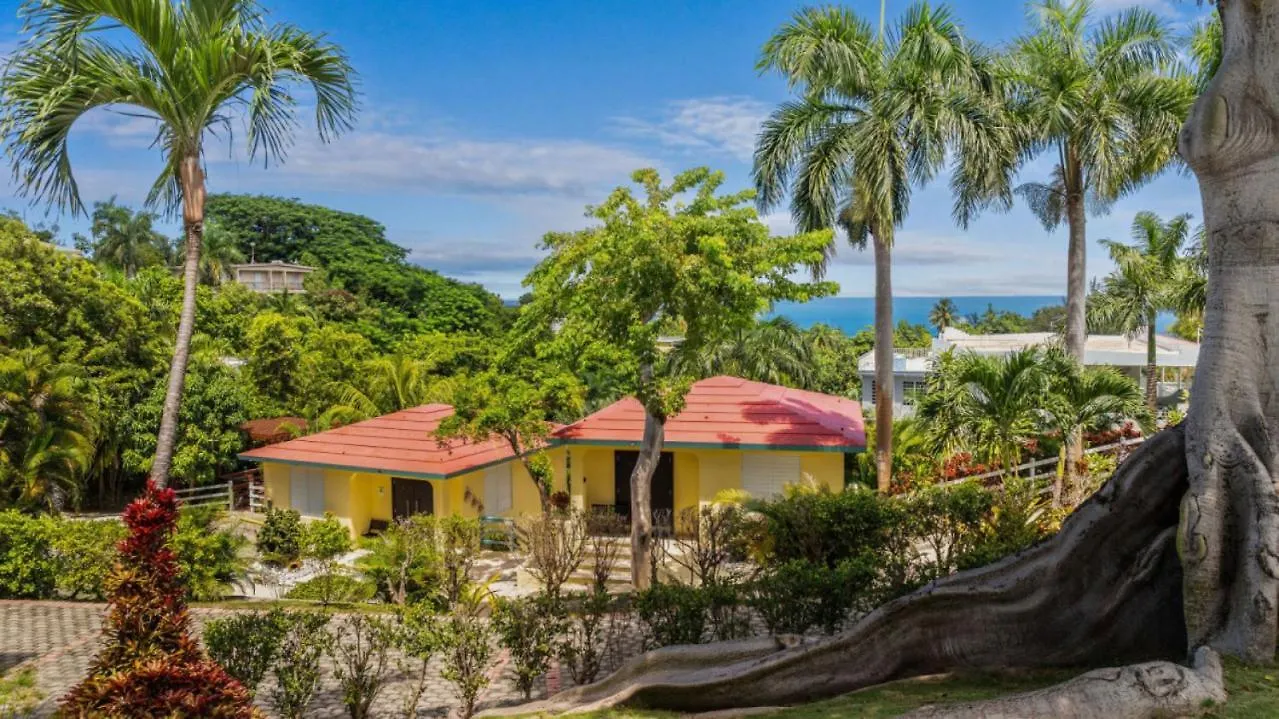Casita 3 At Ceiba Tree Inn. Tranquility With Garden Views And Pergola With Ocean Overlook Rincón 0*,  Puerto Rico