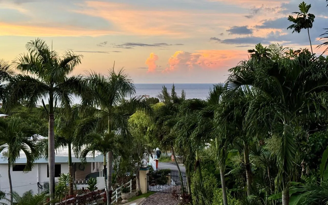 Casita 3 At Ceiba Tree Inn. Tranquility With Garden Views And Pergola With Ocean Overlook Rincón 0*,  Puerto Rico